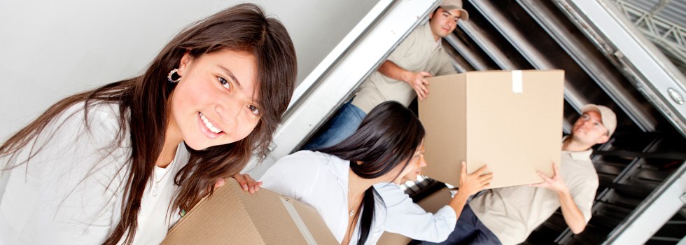 Professional Removalists Rooty Hill